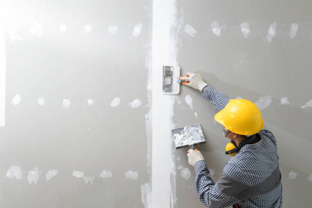 Best Ceiling Drywall Installation  in Hansville, WA